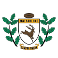 Matson III logo