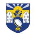 Topsham Ladies II logo